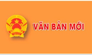 Quy định về chức năng, nhiệm vụ, quyền hạn và mối quan hệ công tác của cấp ủy, ban thường vụ cấp ủy tỉnh, thành phố